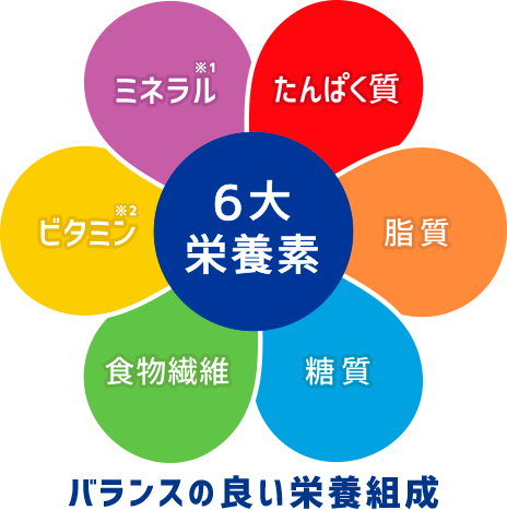 栄養補給